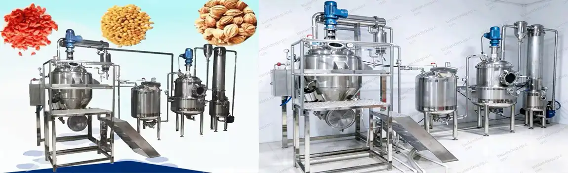 Ultrasonic Mushroom Extraction Equipment