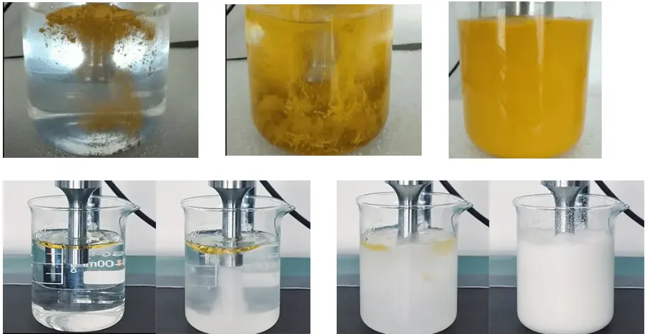 Ultrasonic Homogenizer Reactor