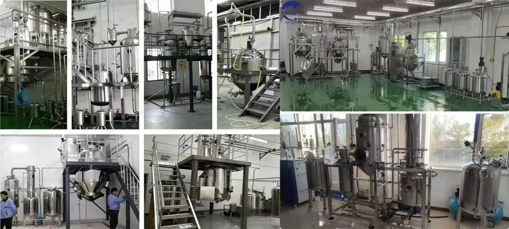 Ultrasonic Extraction Equipment of Mushroom 