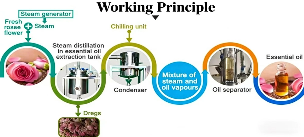 Sandalwood Oil Extraction Machine Sandalwood Oil Extraction Machine