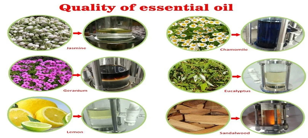 Sandalwood Oil Extraction Machine Sandalwood Oil Extraction Machine