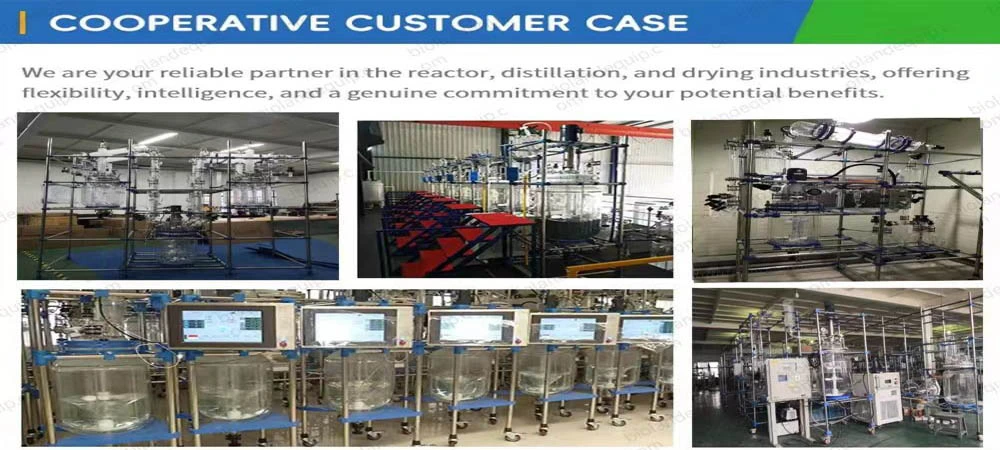 chemical glass reactor