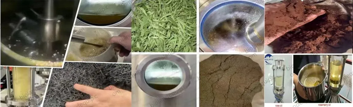 natural pigment extraction equipment