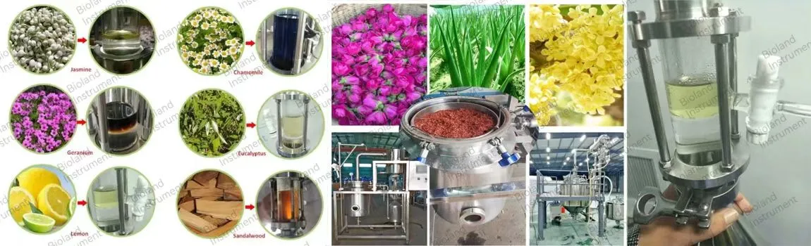 Lavender Oil Extraction Equipment