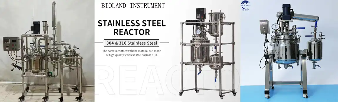 stainless steel batch reactor