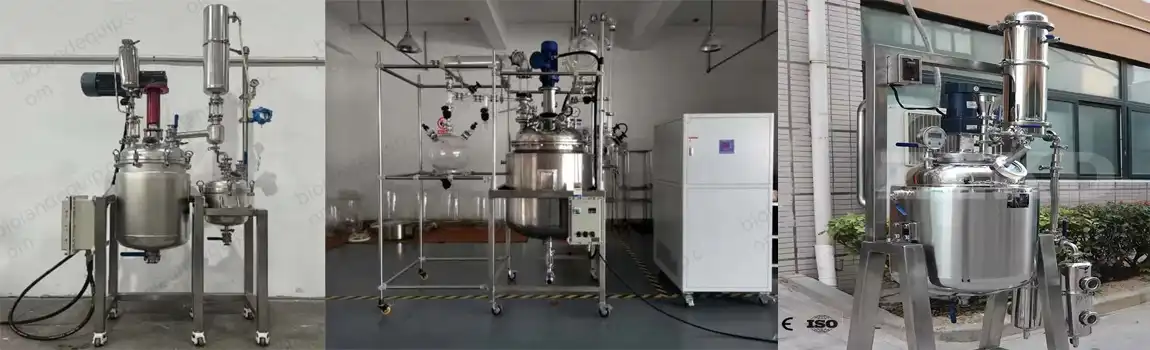 stainless steel batch reactor