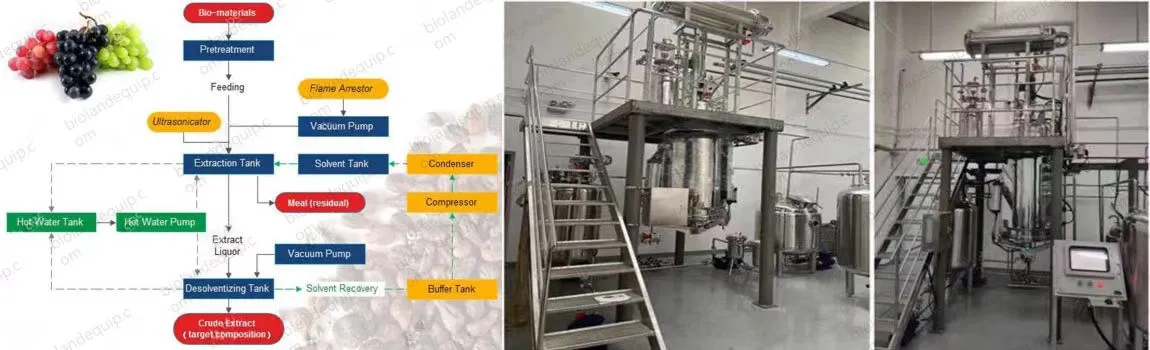 ultrasonic mushroom extraction equipment ultrasonic mushroom extraction equipment