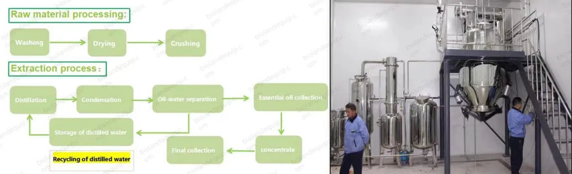 ultrasonic herbal extraction equipment