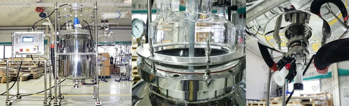 stainless steel batch reactor