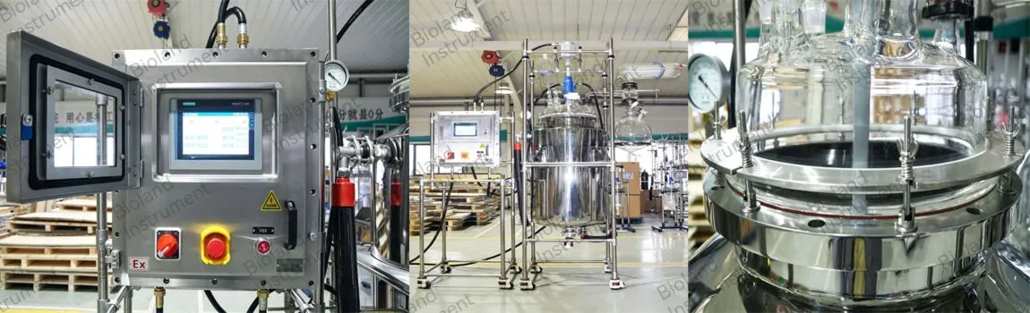 stainless steel batch reactor