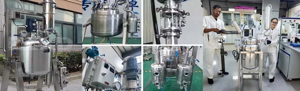 stainless steel batch reactor