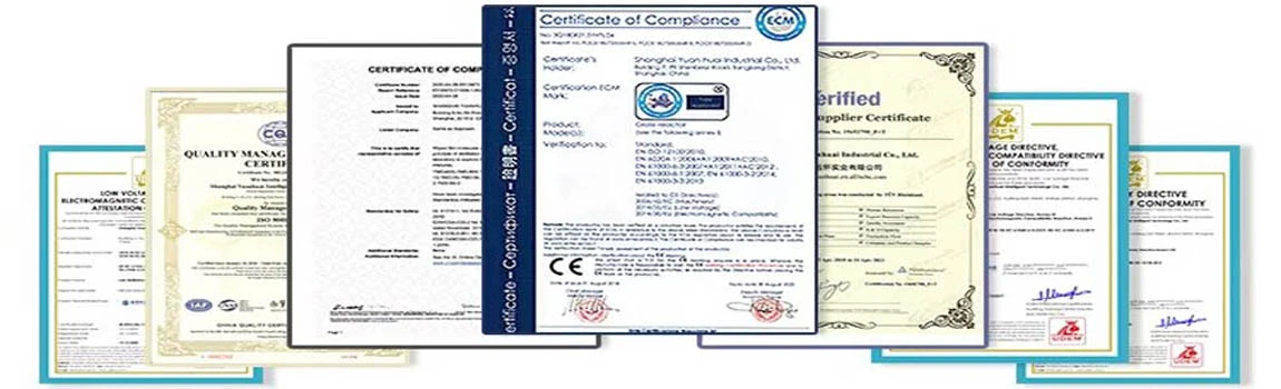CE Marked Ultrasonic Extraction Equipment of mushroom