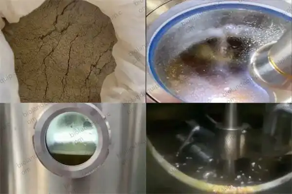 How to choose a medicinal plant extraction machine for essential oils？