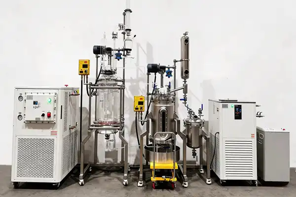 Solid Phase Synthesis Reactor in Pharmaceutical Development