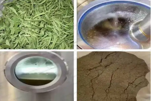 Critical Features to Look for in Quercetin Extraction Equipment