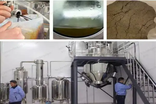 Common Problems in Mushroom Extraction and Solutions