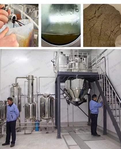 Ultrasound mushroom Polysaccharide Extraction production line